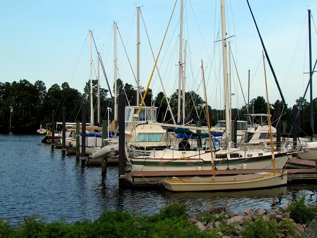 Sailboats docked at a marina on the water in Washington, NC